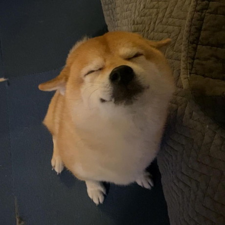 笑顔のお出迎え