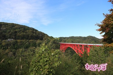 道の駅おろちループの展望台から。右端に木次線のディーゼルカーが見える。赤い三井野大橋の先に三井野原駅がある