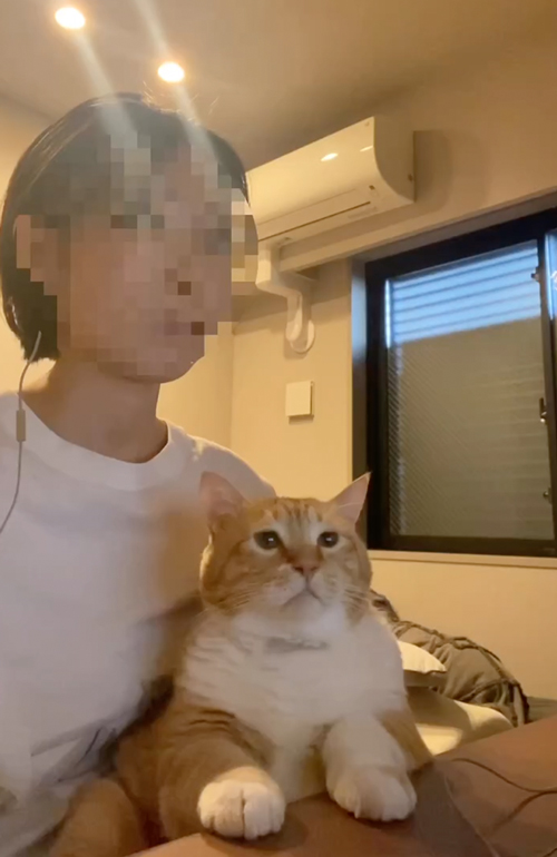 公然キスする猫