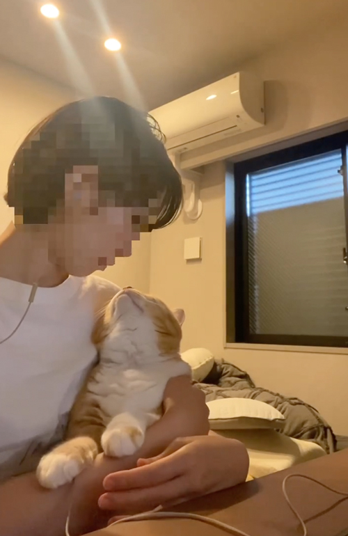 公然キスする猫