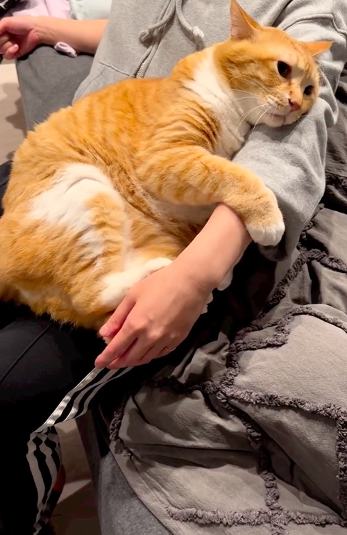 離れたくない！