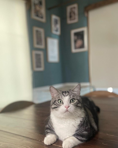 お腹がすいたぱんちゃん