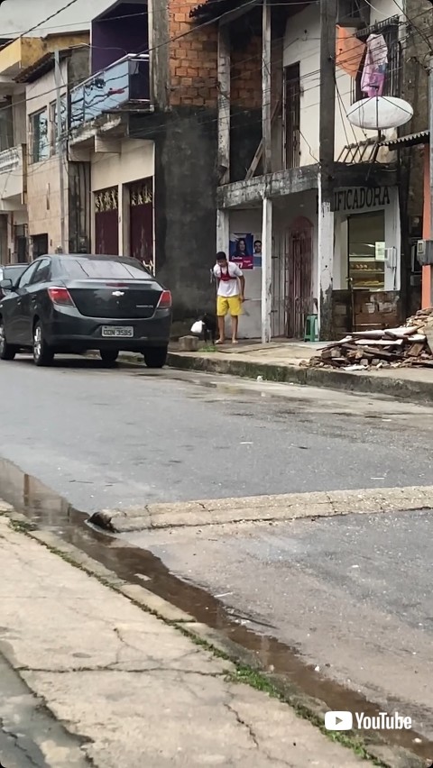 受け取ってくわえる犬