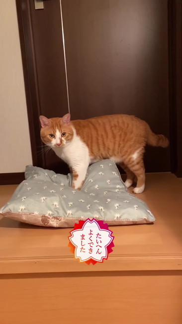 よくできました