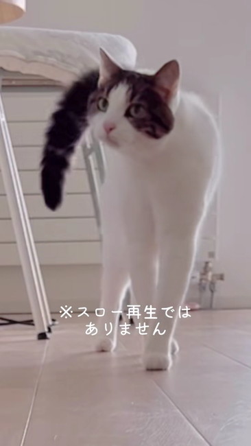 スローではない