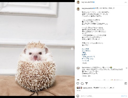 コージ・トクダとしらたま