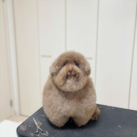 オススメ