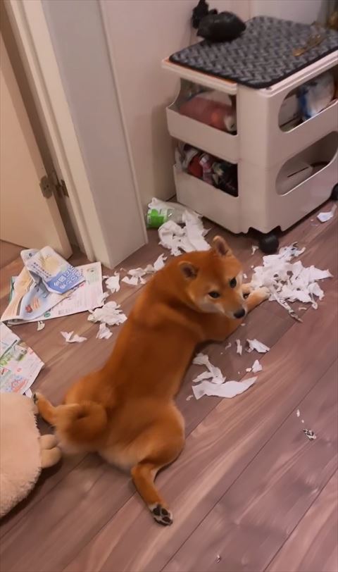 イタズラ現場少しアップ