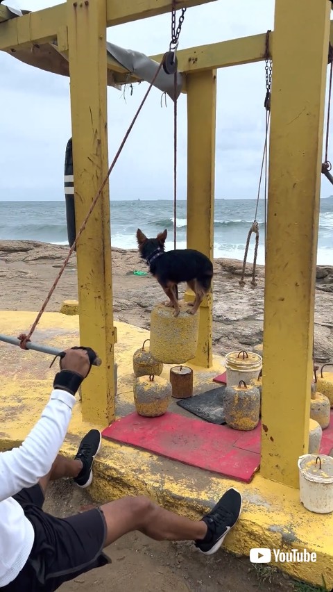 海辺でトレーニングする飼い主