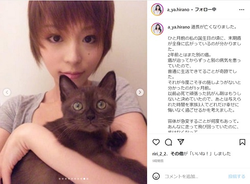 愛猫・道長の死を伝える平野綾