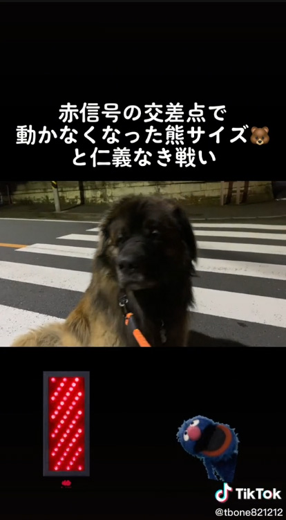 こちらを見るジャンパくん