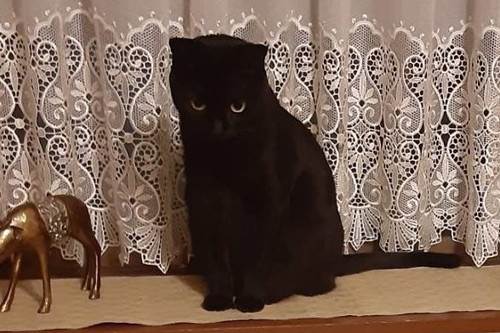 すねちゃったるるちゃん