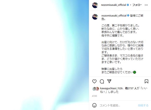 佐々木希の妊娠
