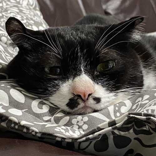 不意の表情がかわいい