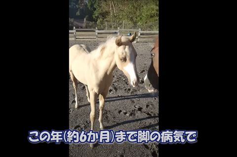 小さいころの写真