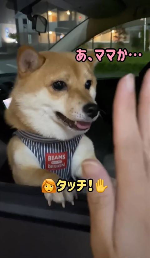 ママかテロップ