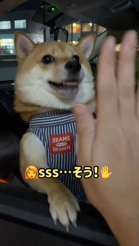 そうそうテロップ