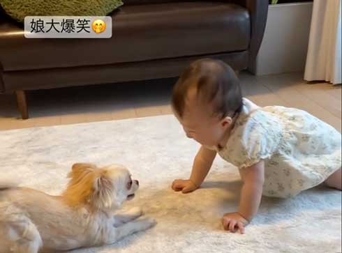 赤ちゃんと遊ぶワンコ