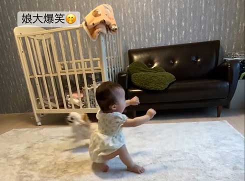 赤ちゃんと遊ぶワンコ