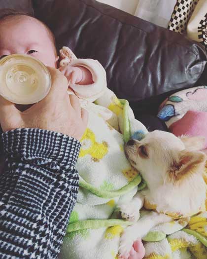 赤ちゃんと遊ぶワンコ