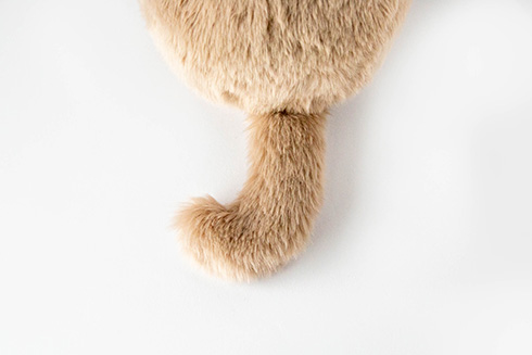 “ほぼ猫”なクッション「ミャウエバー」のプレミアム版が登場　ゴロゴロ鳴く音や体重・大きさ・体温まで再現して本物そっくりに