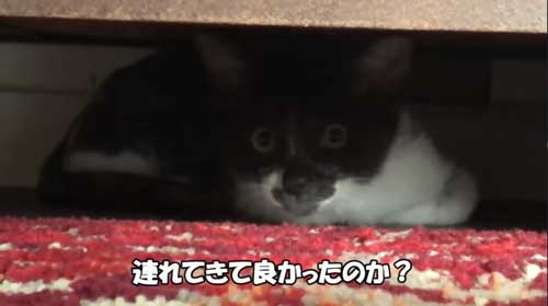 罪悪感を感じるヒロシさん