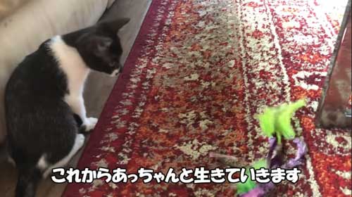 家族ができたヒロシ