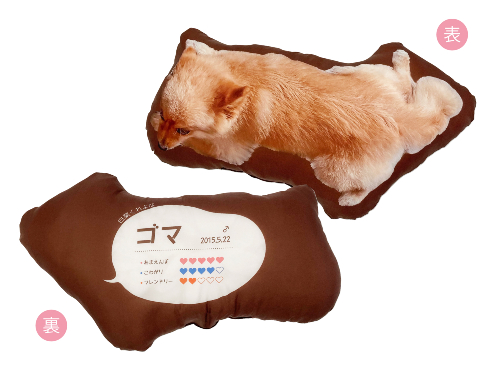 まるっと！うちのコごろーんクッション