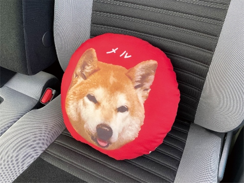 まるっと！うちのコごろーんクッション