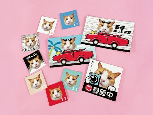 まるっと！うちのコごろーんクッション