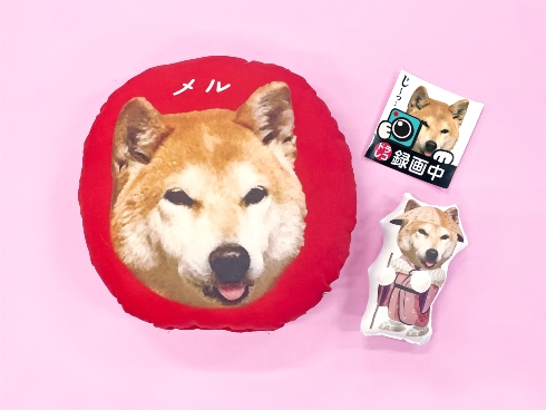 まるっと！うちのコごろーんクッション