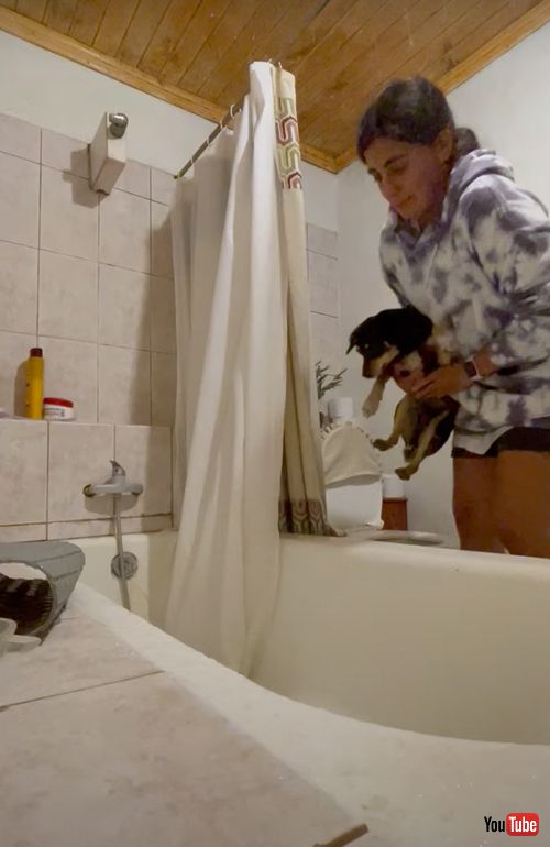 お風呂が苦手なワンコ