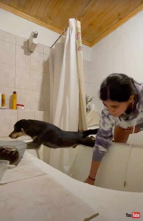 お風呂が苦手なワンコ