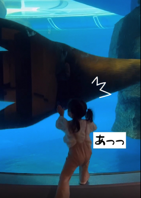 突然のアシカに驚く女の子がかわいい