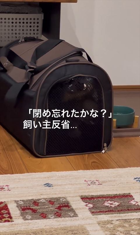 メッシュの真ん中らへん噛んでる