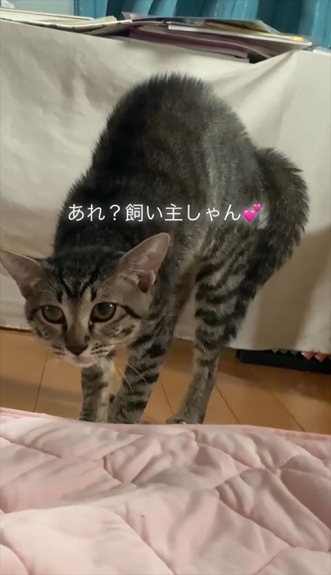 背中もわっと通常の耳