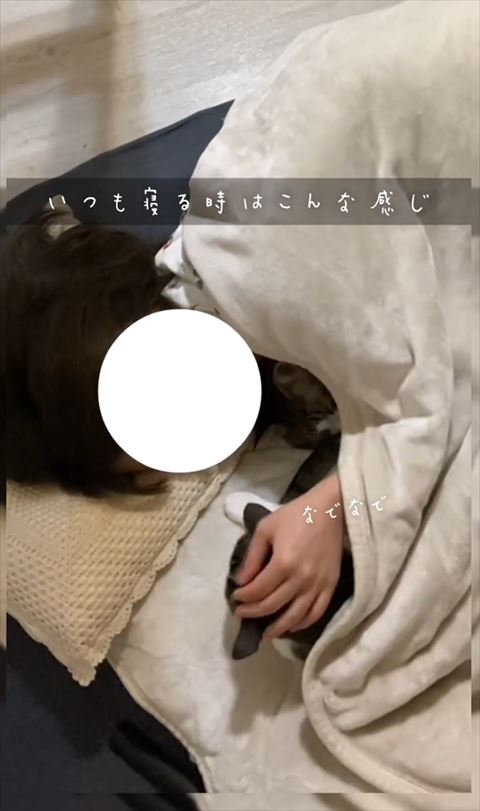 なでなでテロップ