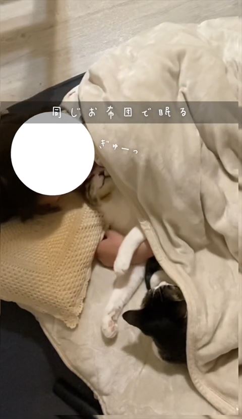 ぎゅーっテロップ