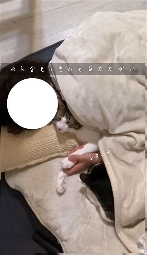 ふよふよテロップ