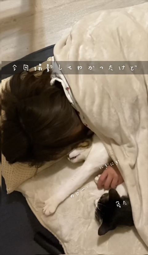 にぎにぎテロップ