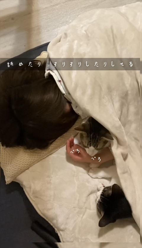 ぺろぺろテロップ