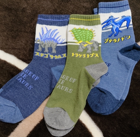祖母が改めて贈ってくれた恐竜の靴下の画像