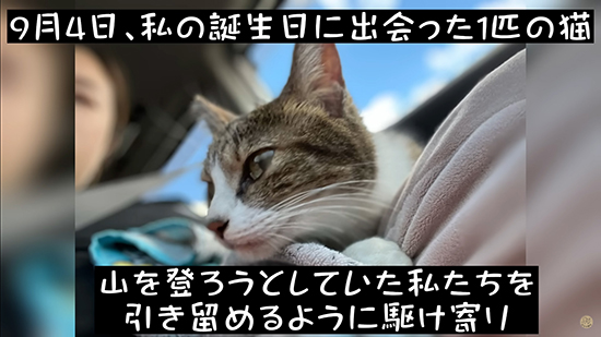 9月4日のテロップ画像