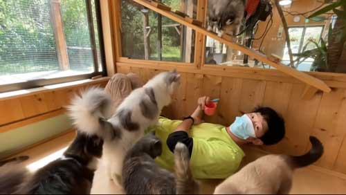 猫にふまれる飼育員