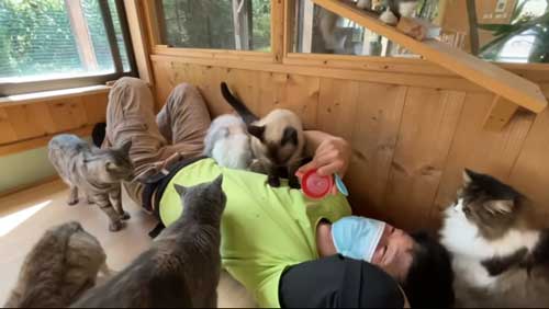 幸せとつぶやく飼育員