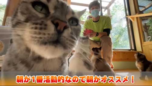 PAWの営業時間