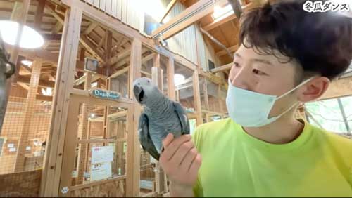 長崎バイオパーク 猫 人気 飼育員 PAW