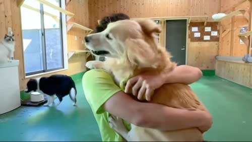 長崎バイオパーク 猫 人気 飼育員 PAW