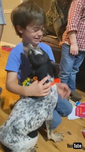 「Boy's Sweet Reaction to New Puppy || ViralHog」