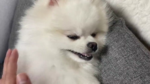 眠くなってきた